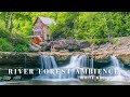 ♫ 乾淨無廣告 ♫ 5.1 環繞音效流水聲&amp;鳥鳴聲~大自然音律 - 5.1 Surround ASMR River Forest Ambience