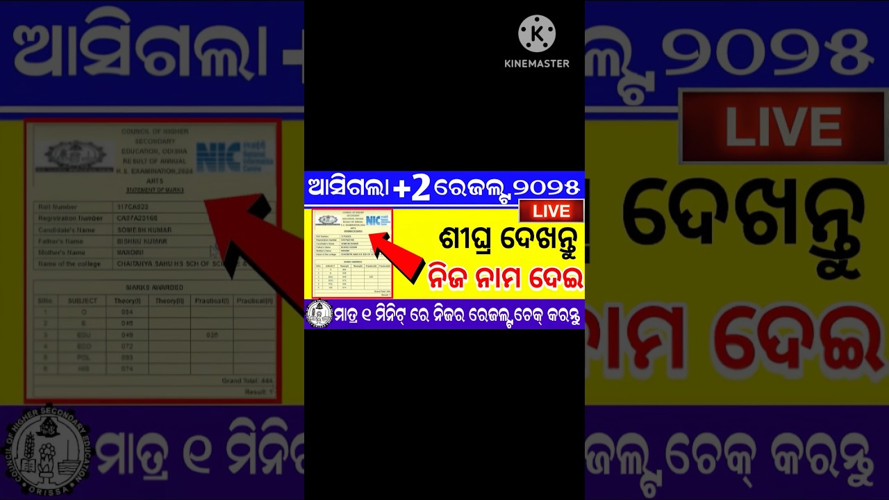 how to check plus two results 2025 |chse results|+2 results 