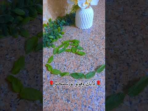 تصوير تصويري نعنع ترند اكسبلور فكرة اخضر تصوير جوال تصوي