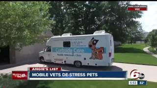 Angie's List: Mobile vets de-stress pets