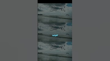 اكتب شي تؤجر عليه#محمد_ايوب #تلاوة_خاشعة #قرآن #قرآن_كريم #اجر_لي_ولكم #راحة_نفسية
