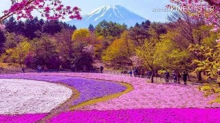 Status WA Cinta| Romantis| CINTA LUAR BIASA - ANJI Cover| Video Lirik Lagu