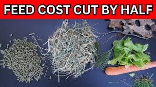 How to save Money on your rabbit Feeds | Cut Rabbit farm feed cost by Half