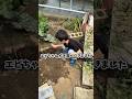 生き物飼うって難しい