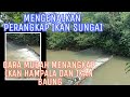 Perangkap ikan dengan cara membendung sungai kecil