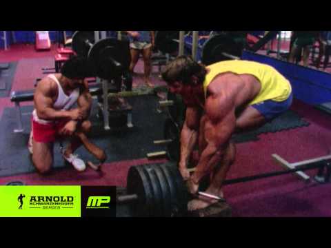 Arnold T-Bar Rows