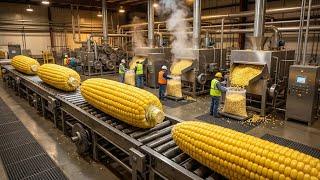 Popcorn Factory Process 🍿 | How Popcorn is Made in Factory (Full Video)
