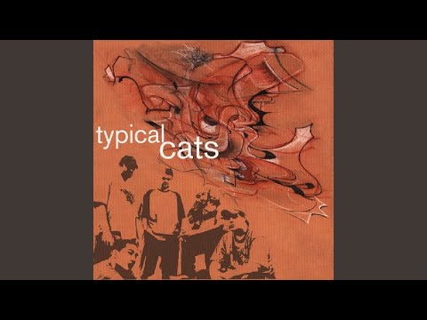 Typical Cats — Snake Oil