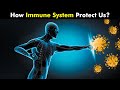 How immune System Works? (Urdu/Hindi)