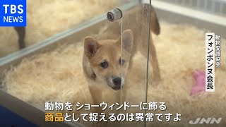 仏・ペットショップでの犬猫販売禁止「否定された気持ち」の声も