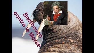Beethoven et le Morse (Comment créer une pièce avec un code Morse)