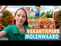 Vakantiepark molenwaard  superleuk familiepark mt fien  teun   4k  fenna  parkvakanties 