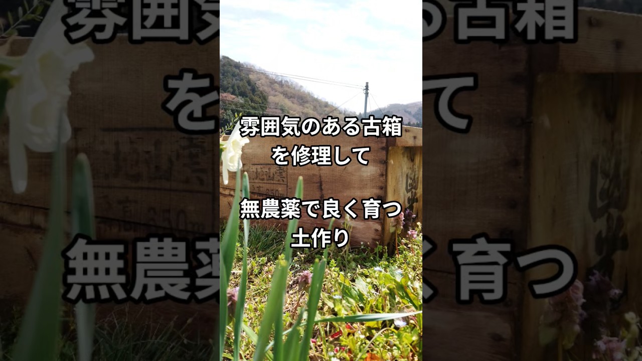 農家さんに教えてもらった簡単なやり方改