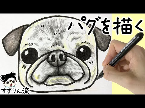 犬のイラスト 可愛い パグの描き方 犬の絵 Youtube