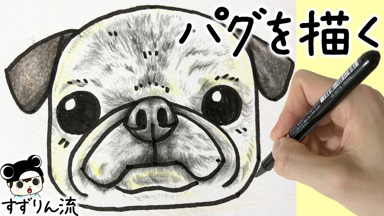 犬のイラスト 可愛い チワワの描き方 Youtube