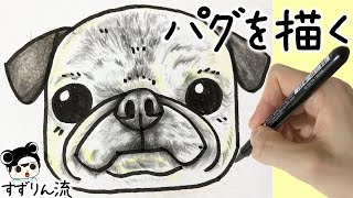 犬のイラスト 可愛い パグの描き方 犬の絵 Youtube