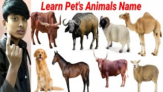 Learn Pet's Animals Name || Cute Animals Video cow, Dog, Cat || Animals Video || #cow cow video || screenshot 3