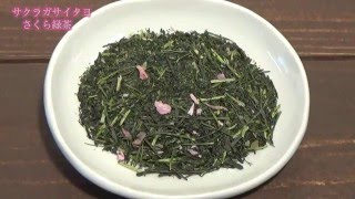 さくら緑茶Sakura & Japanese green tea