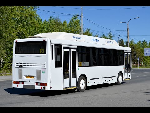 Расписание автобусов Прохоровка Белгород на сегодня и билет автобус Прохоровка Белгород