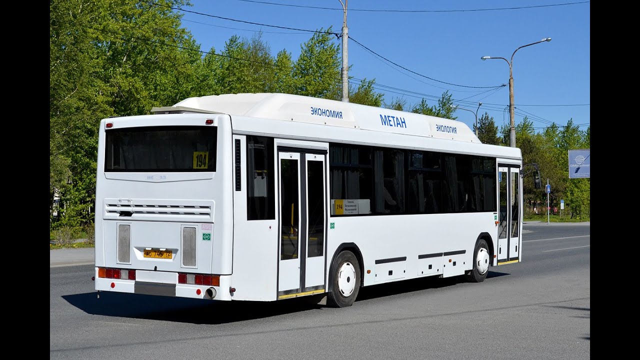 Автобус белгород киев