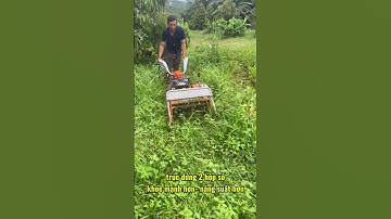 Máy cắt cỏ trục băm 4 chức năng - băm cỏ thực tế tại vườn của khách,động cơ khoẻ,làm việc hiệu quả!