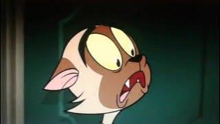 Creepy Mirror Portal I Bunnicula I Comedy Kids