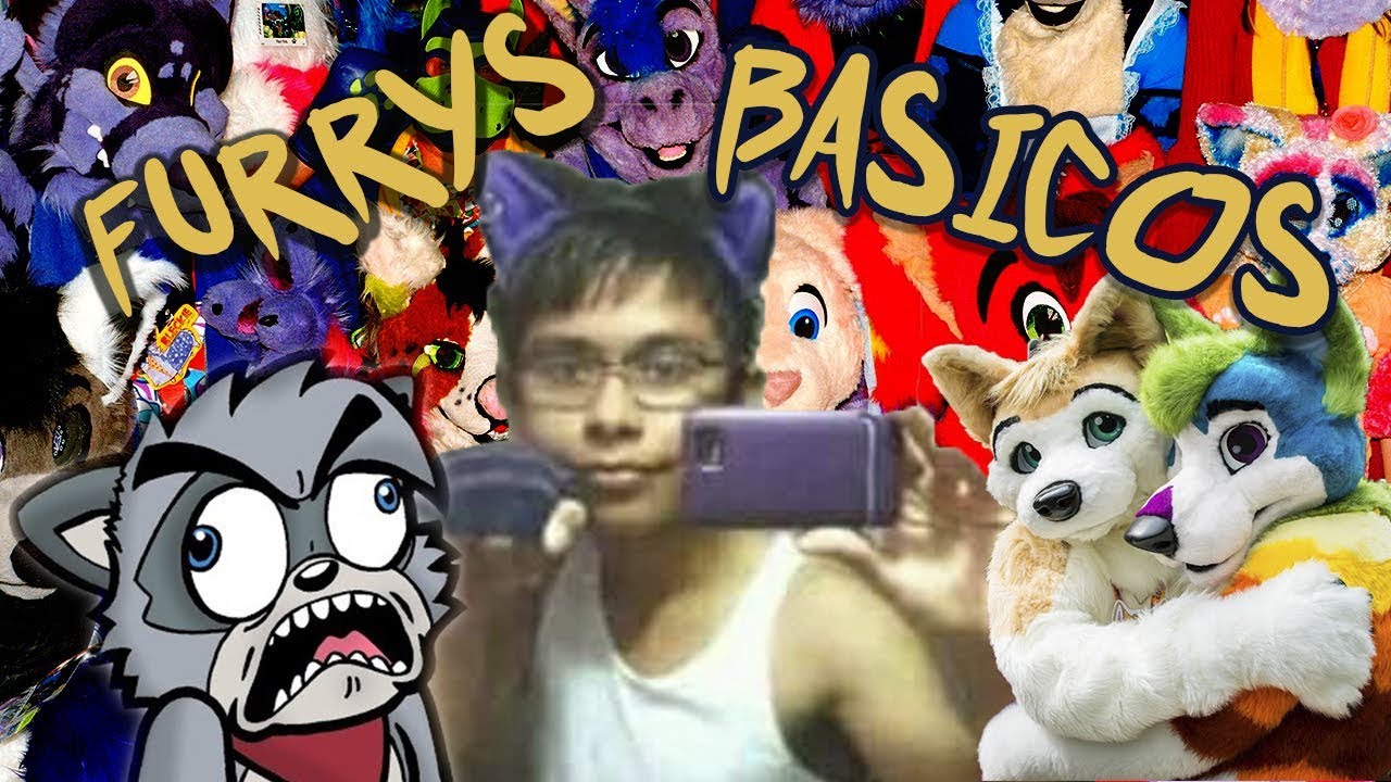 Como Identificar Un Furry B sico YouTube