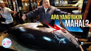 Ketika Pengusaha Berani Bayar Mahal Ikan Tuna Raksasa Hingga Miliaran