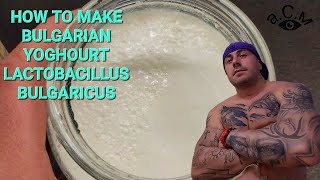 HOW TO MAKE BULGARIAN YOGHOURT LACTOBACILLUS BULGARICUS   а.С.м