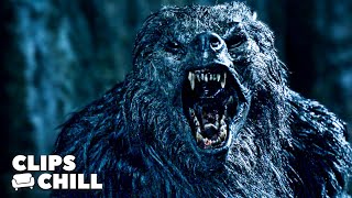 “Werewolf and also Humans” | Underworld: Rise of the Lycans (Rhona Mitra) Net Worth