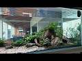 CBM Christmas Rescape Project December 2025