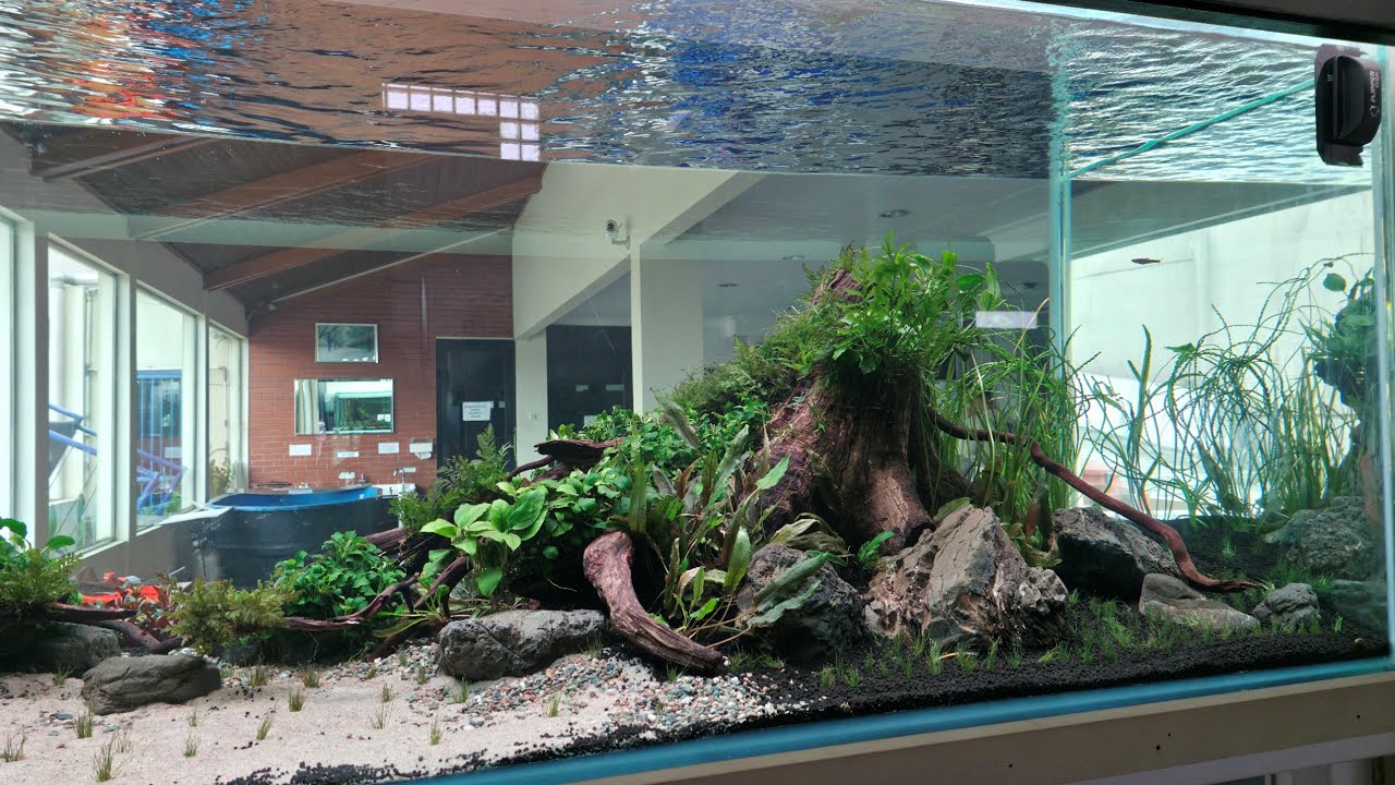 CBM Christmas Rescape Project December 2025