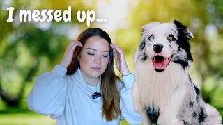 The WORST Mistake I Made With My Dog (DON'T DO THIS!)
