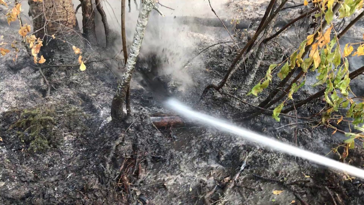 Mop up on McKinley fire.
