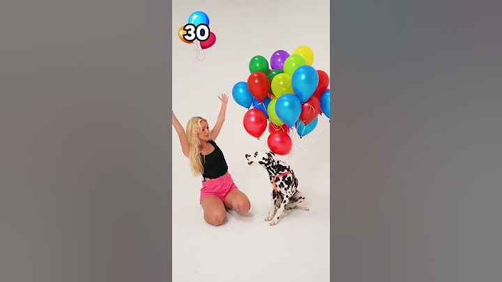 How many balloons does it take to make a dog fly? #shorts