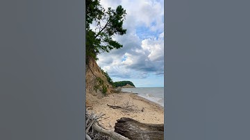 Calvert Cliffs State Park, Maryland 8/6/24 🌊📸🇺🇸 #shorts