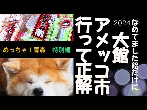【めっちゃ!青森】青森県民が大館アメッコ市に行ってみた!