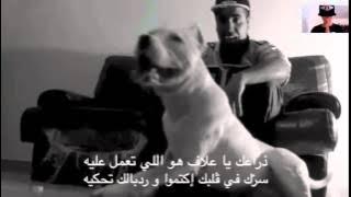 klay bbj كلـــــــــــــب   Paroles   by mokhtar HD   YouTube