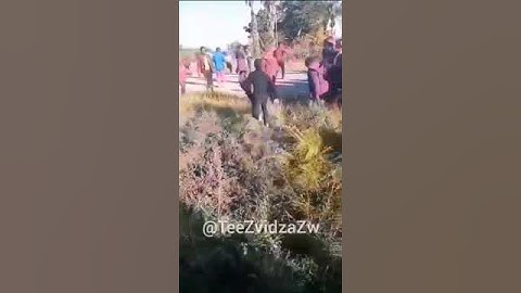 Zimbabwe Republic Police (ZRP) deploying a police dog against school students at St. Faiths Mission