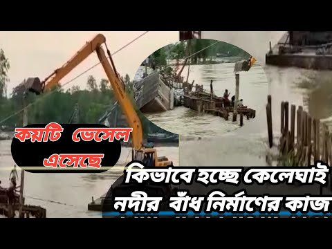 ভিডিও: কিভাবে একটি Newt নির্মাণ