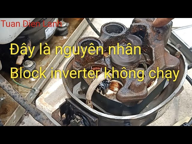 Lốc tủ lạnh Samsung - Nhận biết, sửa chữa và giữ gìn tuổi thọ