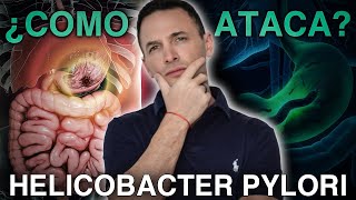 HELICOBACTER PYLORI ¿Por qué es tan peligroso? 🦠 | Lo que no te han dicho y cómo ELIMINARLA 🚫