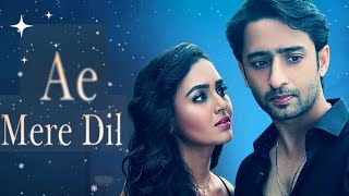 Ae Mere Dil full song in audio.A very emotional song of Shaheer Sheikh and Tejasvi Prakash.
