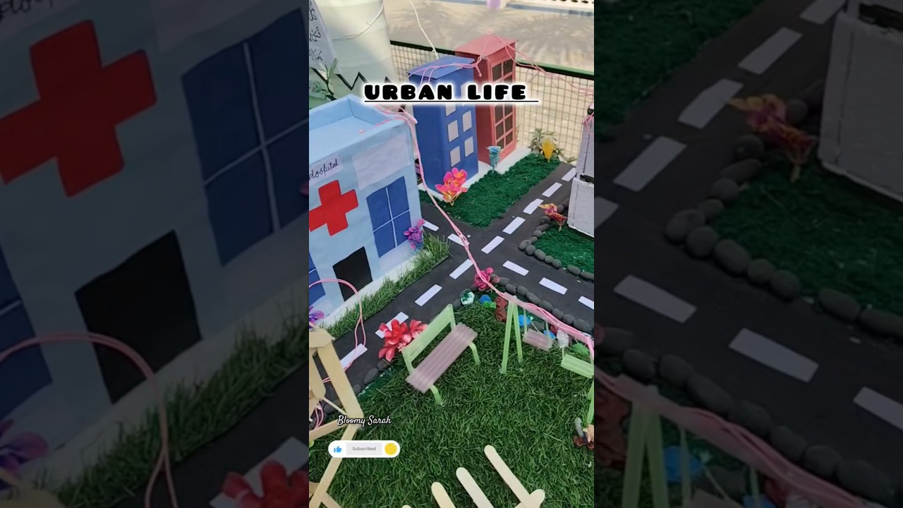 urban and rural life model project 