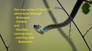 2025 Adventures through Botswana, Zambia and Namibia coming soon...