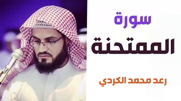 سورة الممتحنة - رعد الكردي
