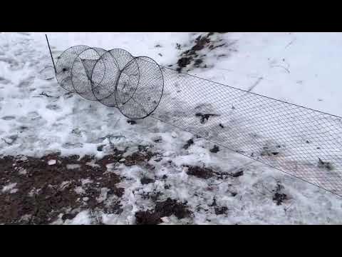 Мережа (вентерь, ятерь) сдвоенная. Ещё один вид малых рыболовных ...