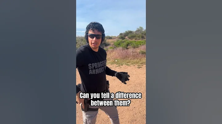 Glock 19 vs Sig P365 X-Macro shoot test