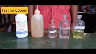 Salt Analysis 11th Chemistry Practical - Copper Sulphate