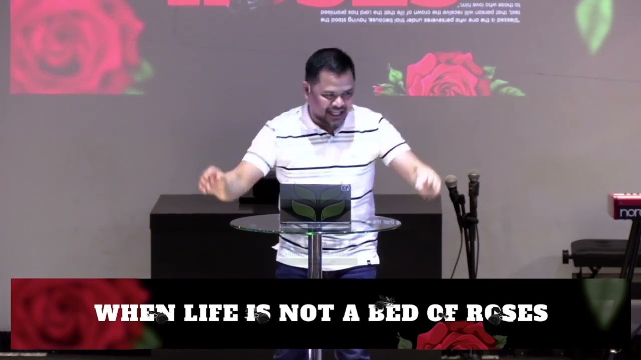 When Life Is Not A Bed Of Roses
